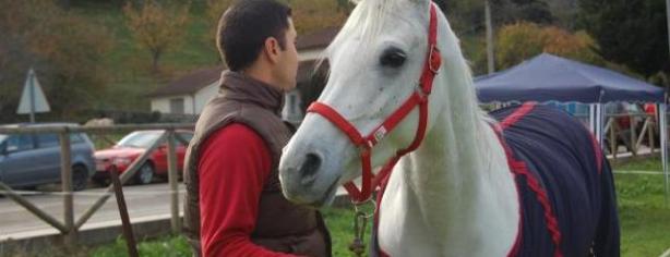 Hay que extremar los cuidados de los caballos. Foto:lainformacion.com/EFE