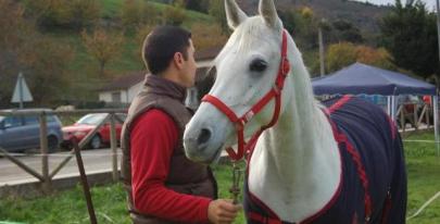 Hay que extremar los cuidados de los caballos. Foto:lainformacion.com/EFE