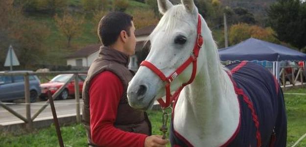 Hay que extremar los cuidados de los caballos. Foto:lainformacion.com/EFE